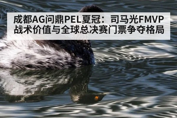 成都AG问鼎PEL夏冠：司马光FMVP战术价值与全球总决赛门票争夺格局