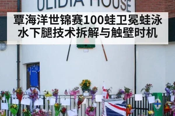 覃海洋世锦赛100蛙卫冕蛙泳水下腿技术拆解与触壁时机